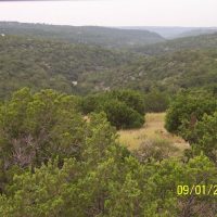 250 Acre Ranch with Exotics